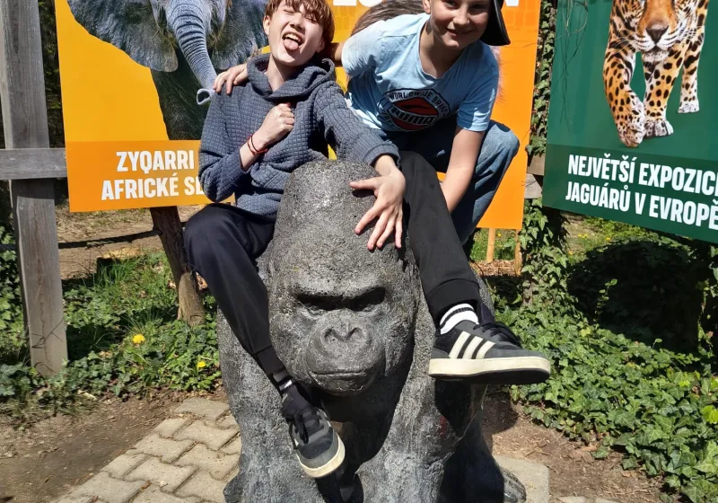 zoo