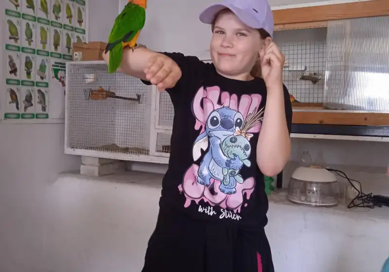 ptaci