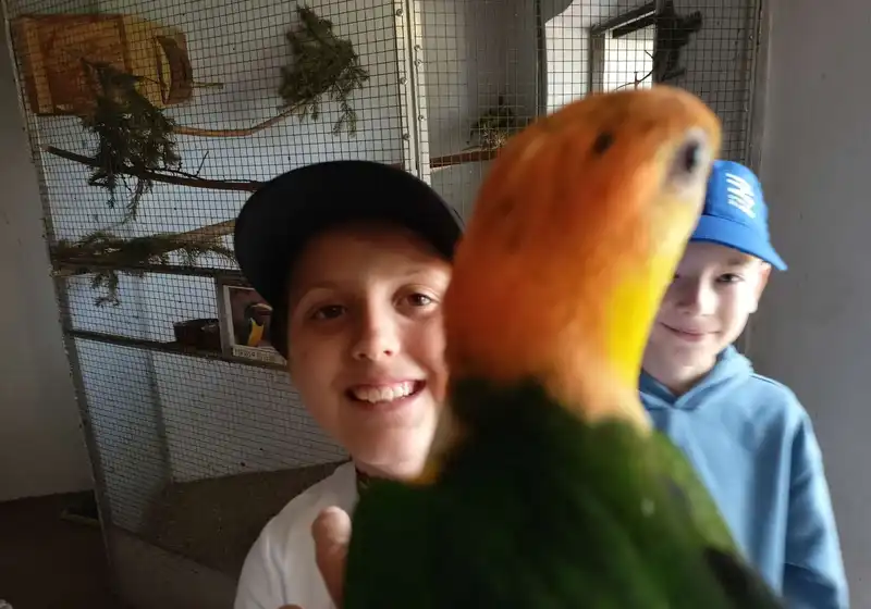 ptaci