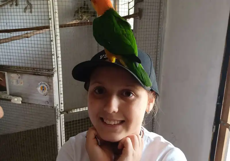 ptaci