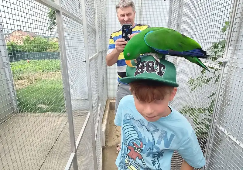 ptaci